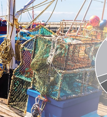 Recovery in WCRL sees increase in TAC