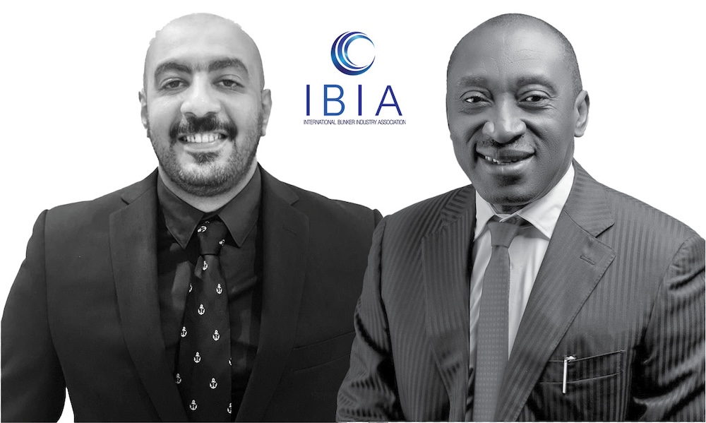 New Africa regional board members announced