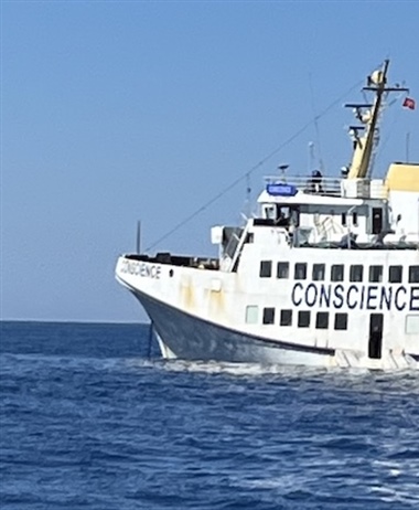 South Africans amongst those on intercepted flotilla