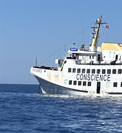 South Africans amongst those on intercepted flotilla