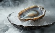Exploring abalone exotic food markets