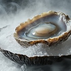 Exploring abalone exotic food markets