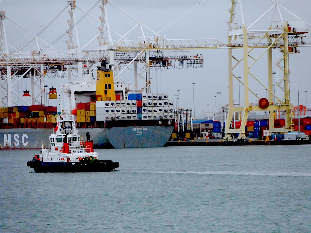 Court ruling paves way for container terminal investment