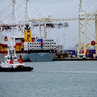 Court ruling paves way for container terminal investment