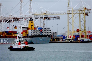 Court ruling paves way for container terminal investment