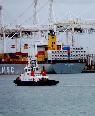 Court ruling paves way for container terminal investment