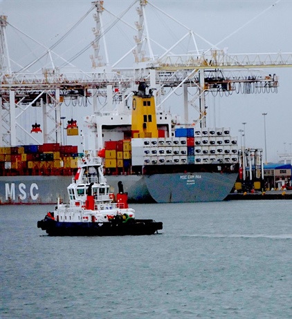 Court ruling paves way for container terminal investment