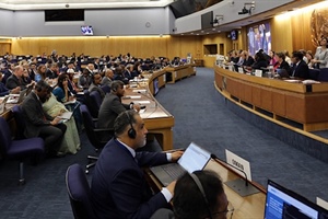 What are Africa’s chances for IMO Council election?