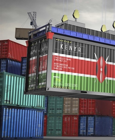 Port system rolled out for efficient trade