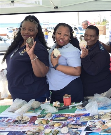 CITES listing for abalone could address crisis