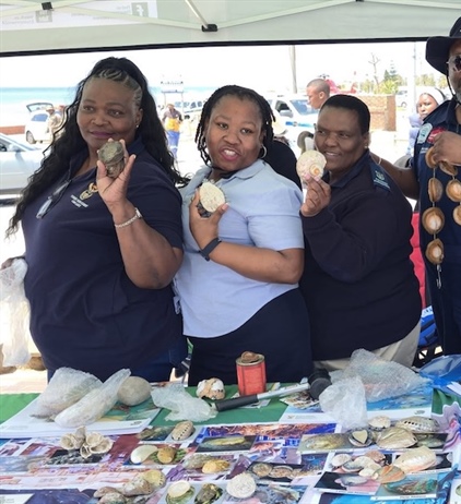 CITES listing for abalone could address crisis