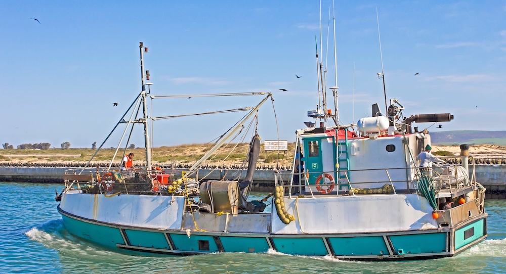 Major decision to review FRAP appeals could lead to instability