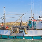 Major decision to review FRAP appeals could lead to instability