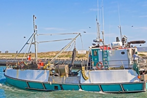 Major decision to review FRAP appeals could lead to instability