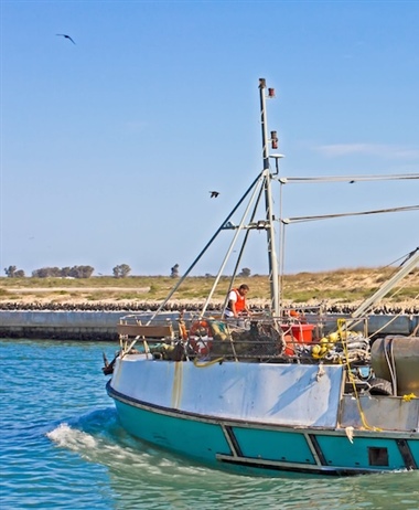 Major decision to review FRAP appeals could lead to instability