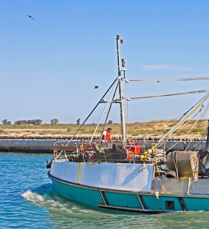 Major decision to review FRAP appeals could lead to instability