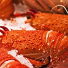 Restricting access for recreational WCRL fishers