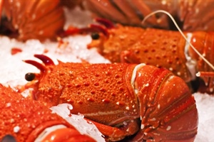 Restricting access for recreational WCRL fishers