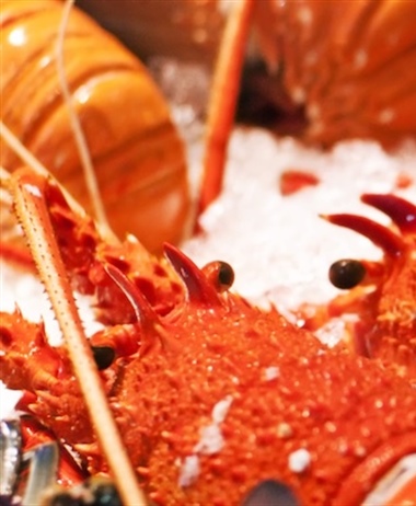 Restricting access for recreational WCRL fishers