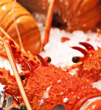 Restricting access for recreational WCRL fishers