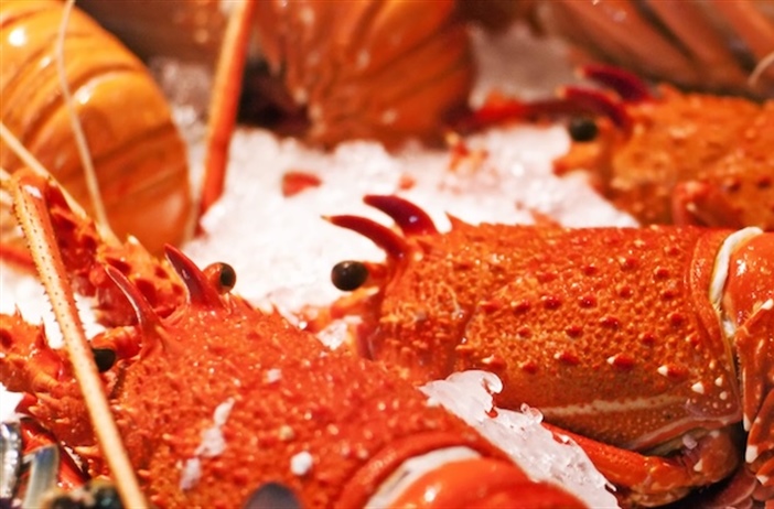 Restricting access for recreational WCRL fishers