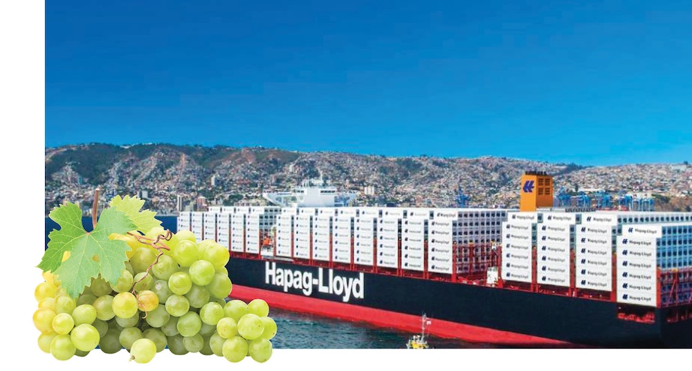 Dedicated grape service for South Africa