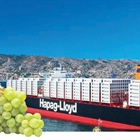 Dedicated grape service for South Africa