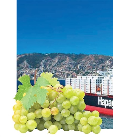 Dedicated grape service for South Africa