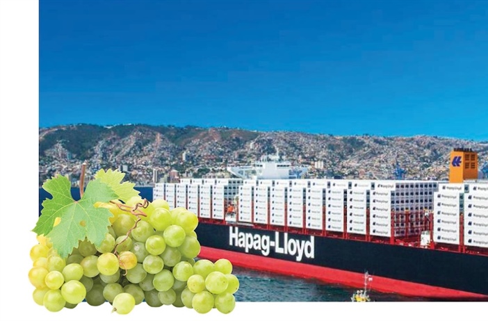 Dedicated grape service for South Africa