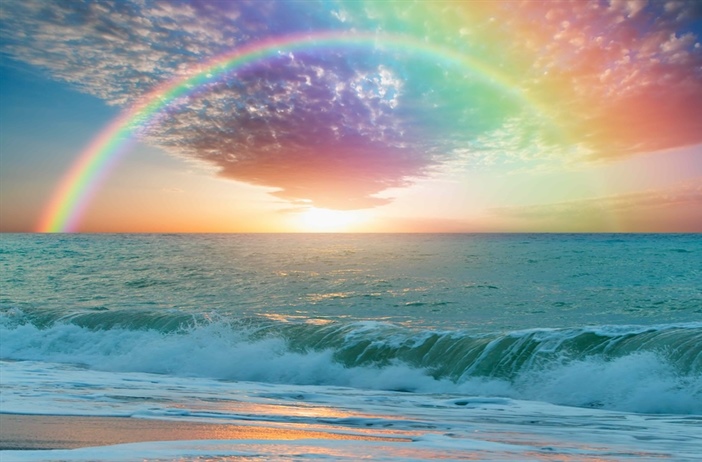 South Africa participates in global research