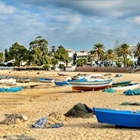 Investing in global ocean protection