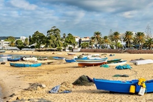 Investing in global ocean protection