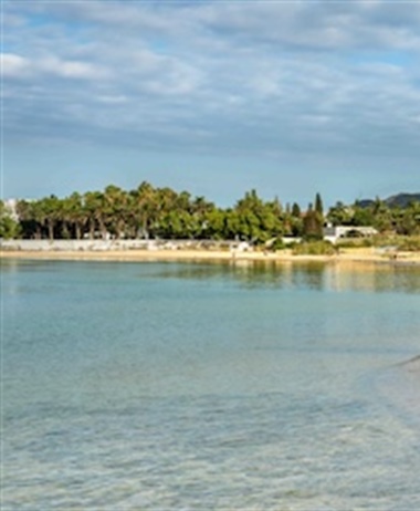 Investing in global ocean protection