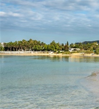 Investing in global ocean protection