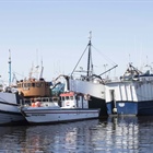 Ongoing stakeholder meetings discuss fishing vessel regulations
