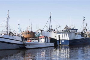 Ongoing stakeholder meetings discuss fishing vessel regulations