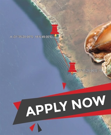 Applications for abalone ranching open
