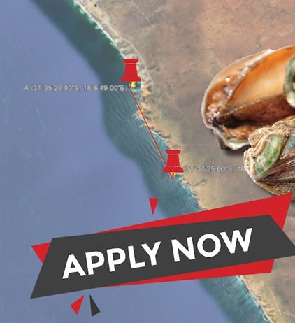 Applications for abalone ranching open
