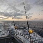 Minister sets deadline for appeals