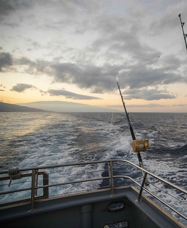 Minister sets deadline for appeals