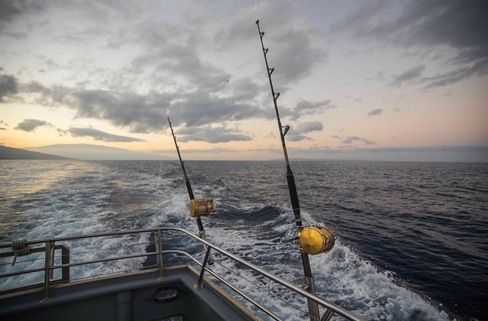 Minister sets deadline for appeals