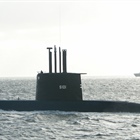 Presidential panel to investigate naval exercise