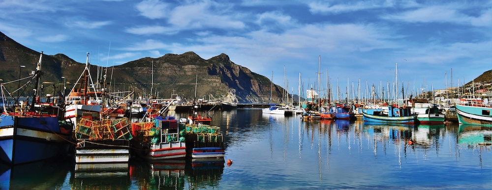 An appealing decision by DFFE