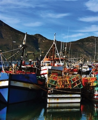 An appealing decision by DFFE