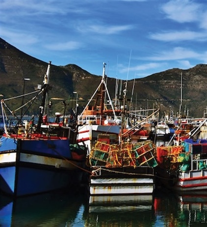 An appealing decision by DFFE