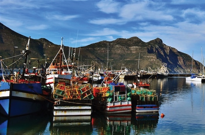 An appealing decision by DFFE