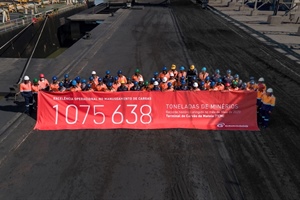 Matola Terminal helps drive performance for Grindrod