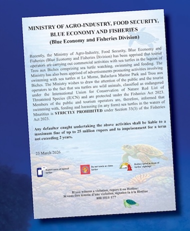 Sea turtles off limits for tourists