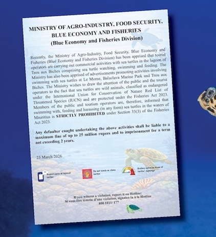 Sea turtles off limits for tourists