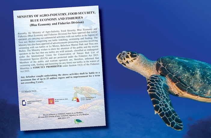 Sea turtles off limits for tourists